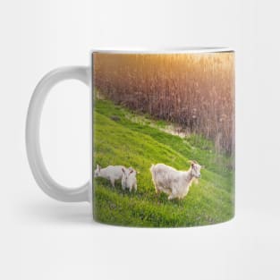 A goat with two little kids Mug